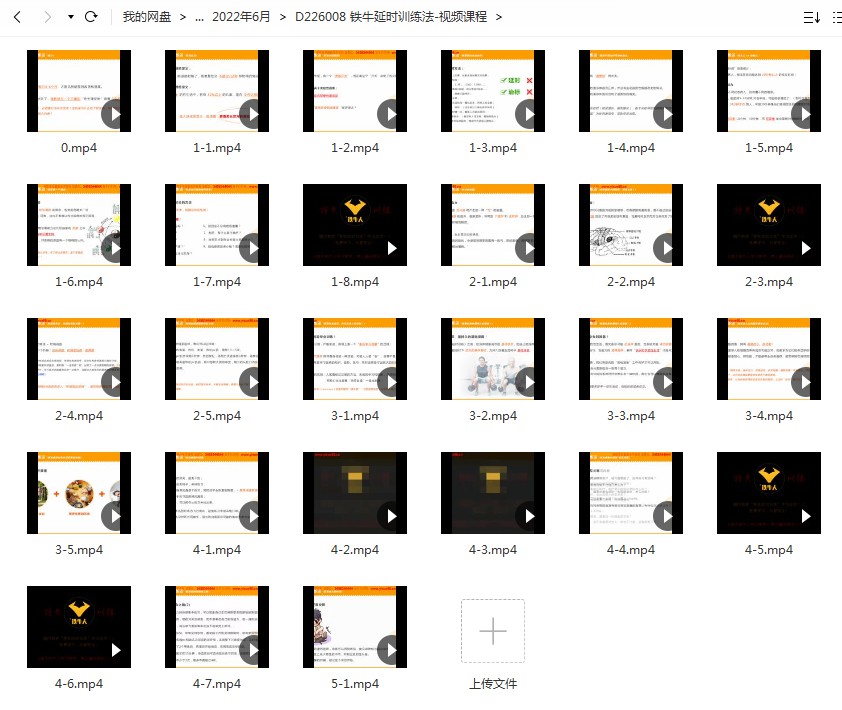 铁牛科学延时训练法-视频课程-真传国学