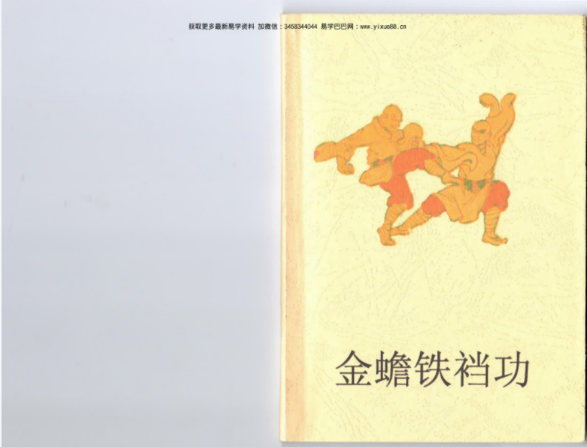 祁美娟 杨保宗《金蟾铁当功》一册80页pdf 百度云下载！-真传国学