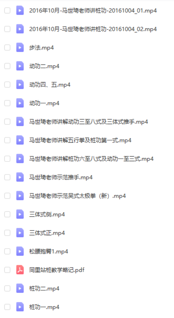 马世琦2016桩功课程合集 含桩功讲课+分动作演示-真传国学