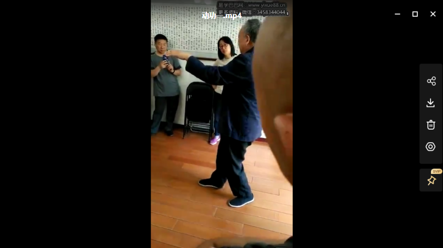 图片[2]-马世琦2016桩功课程合集 含桩功讲课+分动作演示-真传国学