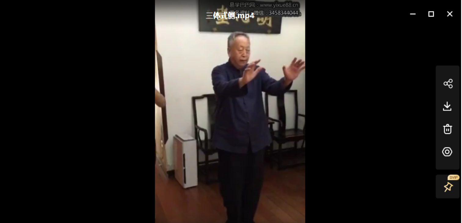 图片[3]-马世琦2016桩功课程合集 含桩功讲课+分动作演示-真传国学