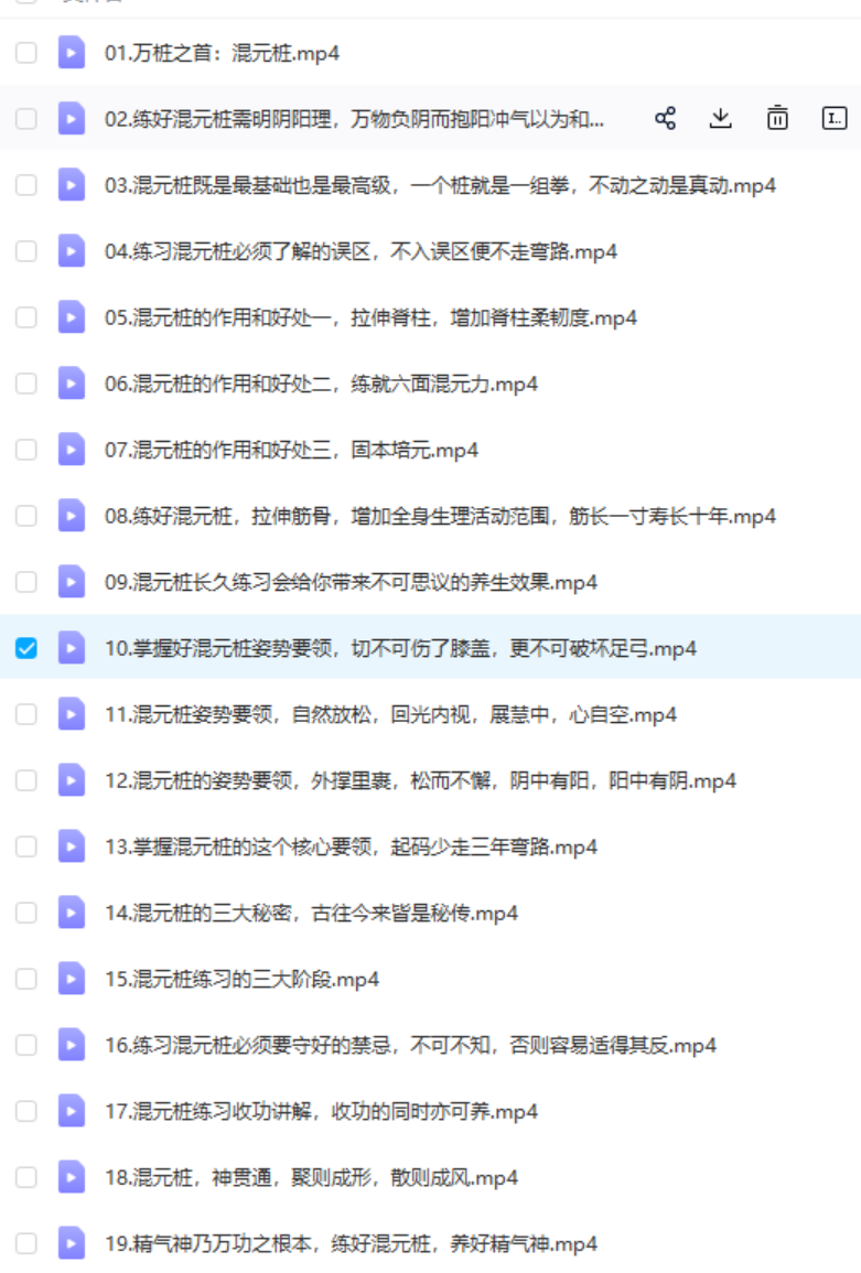 图片[2]-龙门天成 二十四集混元桩-真传国学