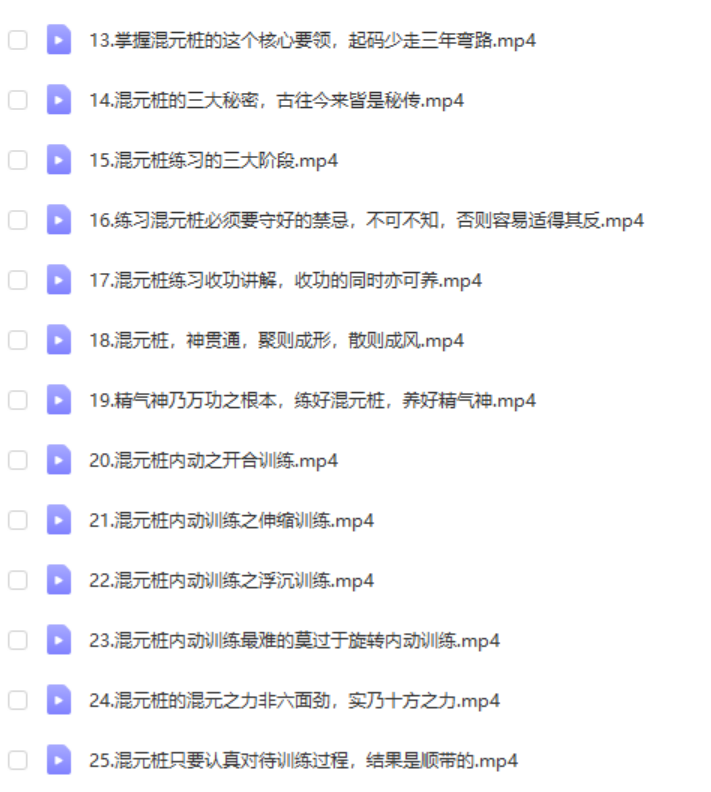 图片[4]-龙门天成 二十四集混元桩-真传国学