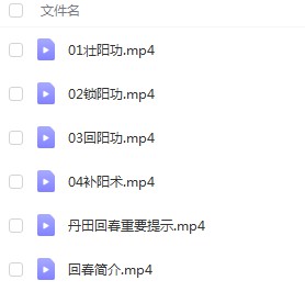 姜书洋霍氏八极拳丹田回春4节6个视频 百度云下载！-真传国学