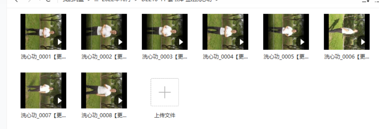 姜书洋 金刚洗心功 百度网盘下载-真传国学