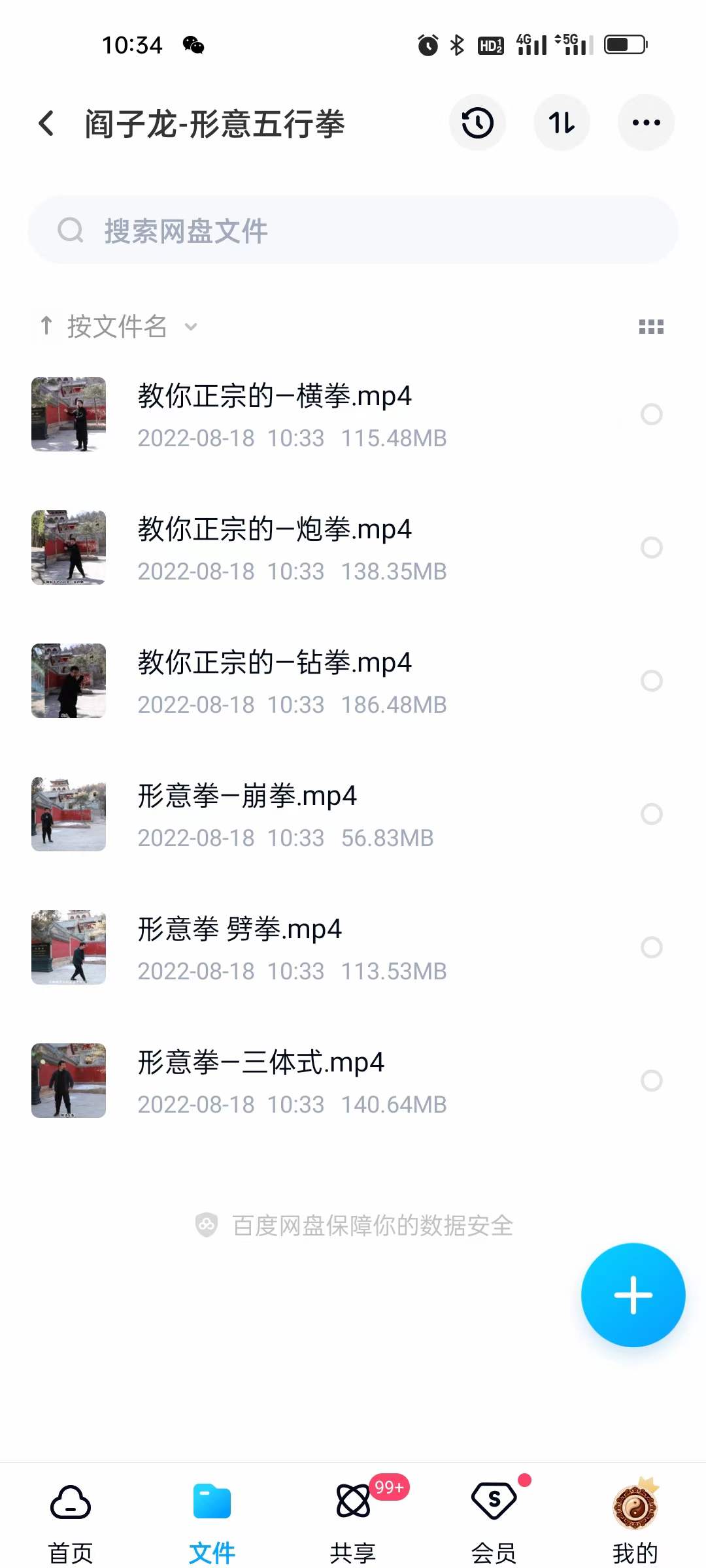 阎子龙-形意五行拳 百度网盘下载-真传国学