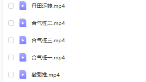 姜书洋 万千合气桩 敲裂推-真传国学