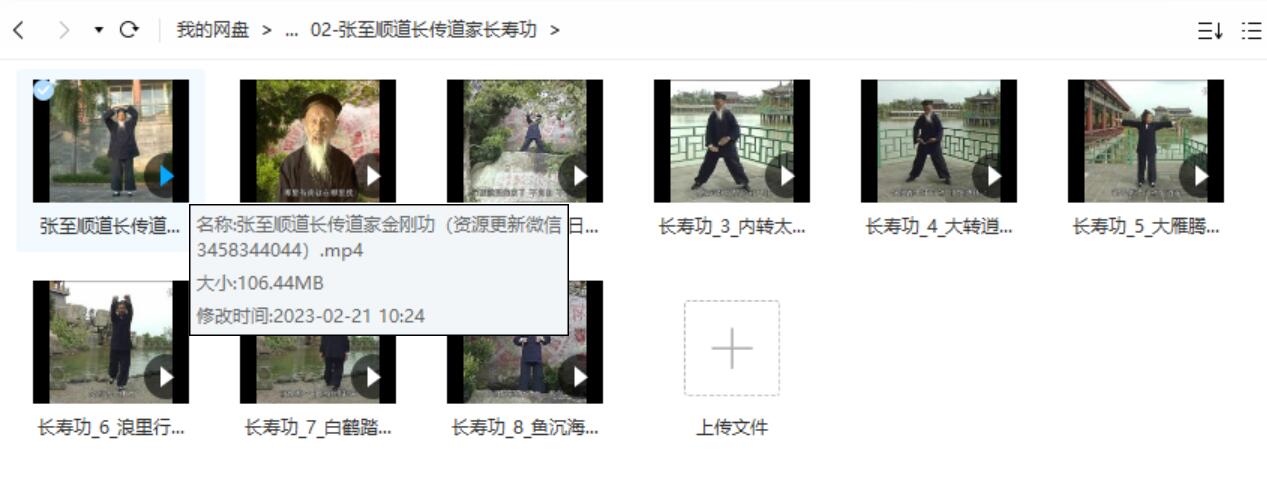 图片[2]-张至顺长寿八部金刚功视频-真传国学
