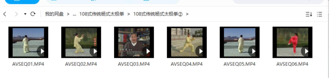 图片[7]-太极拳教程(16套 98G）-真传国学