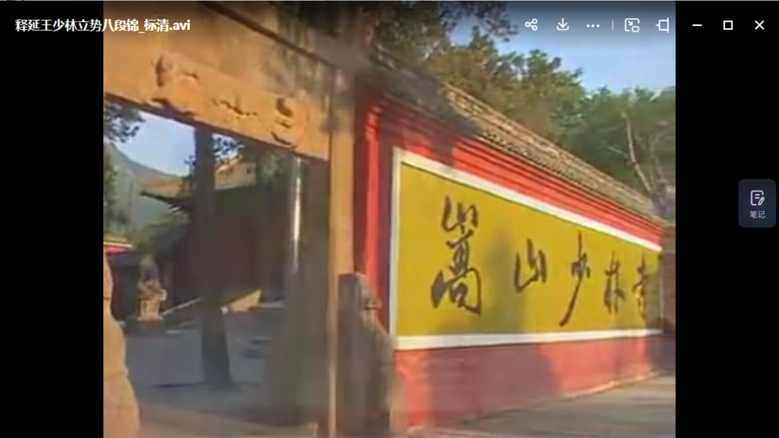 图片[2]-释延王易经洗髓功-真传国学