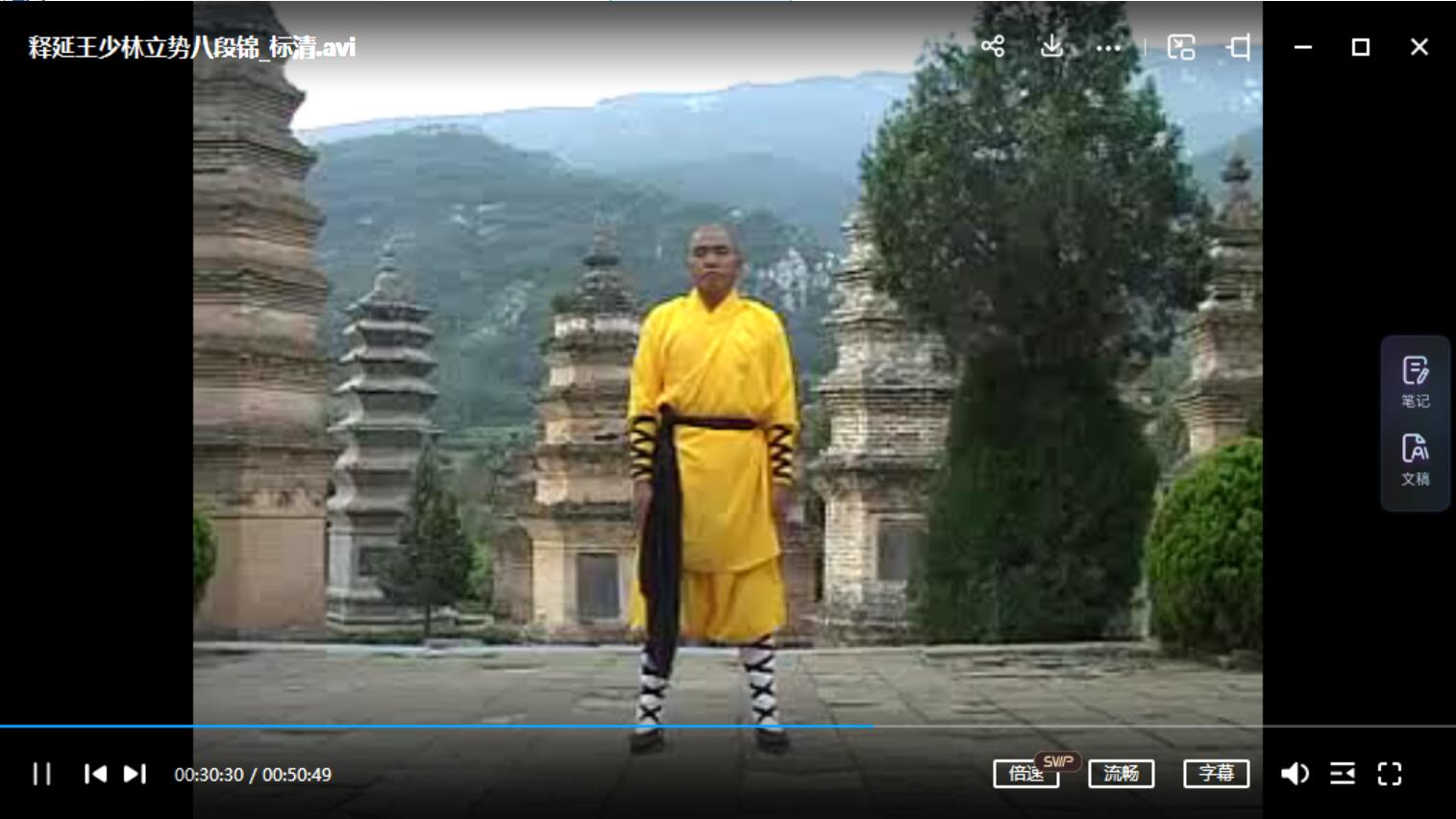 图片[3]-释延王易经洗髓功-真传国学