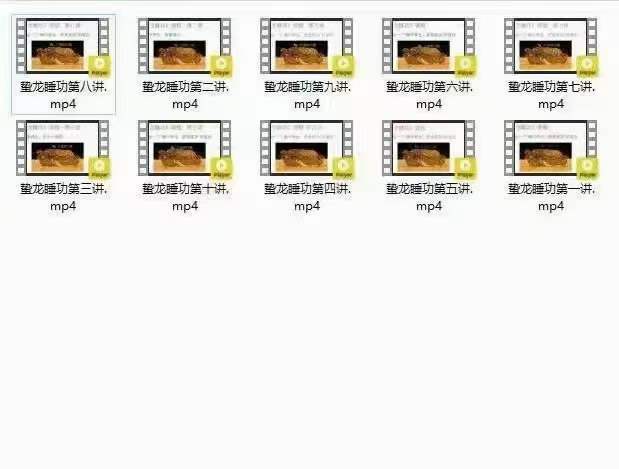 图片[2]-郭和仁《蛰龙睡功》视频10集-真传国学