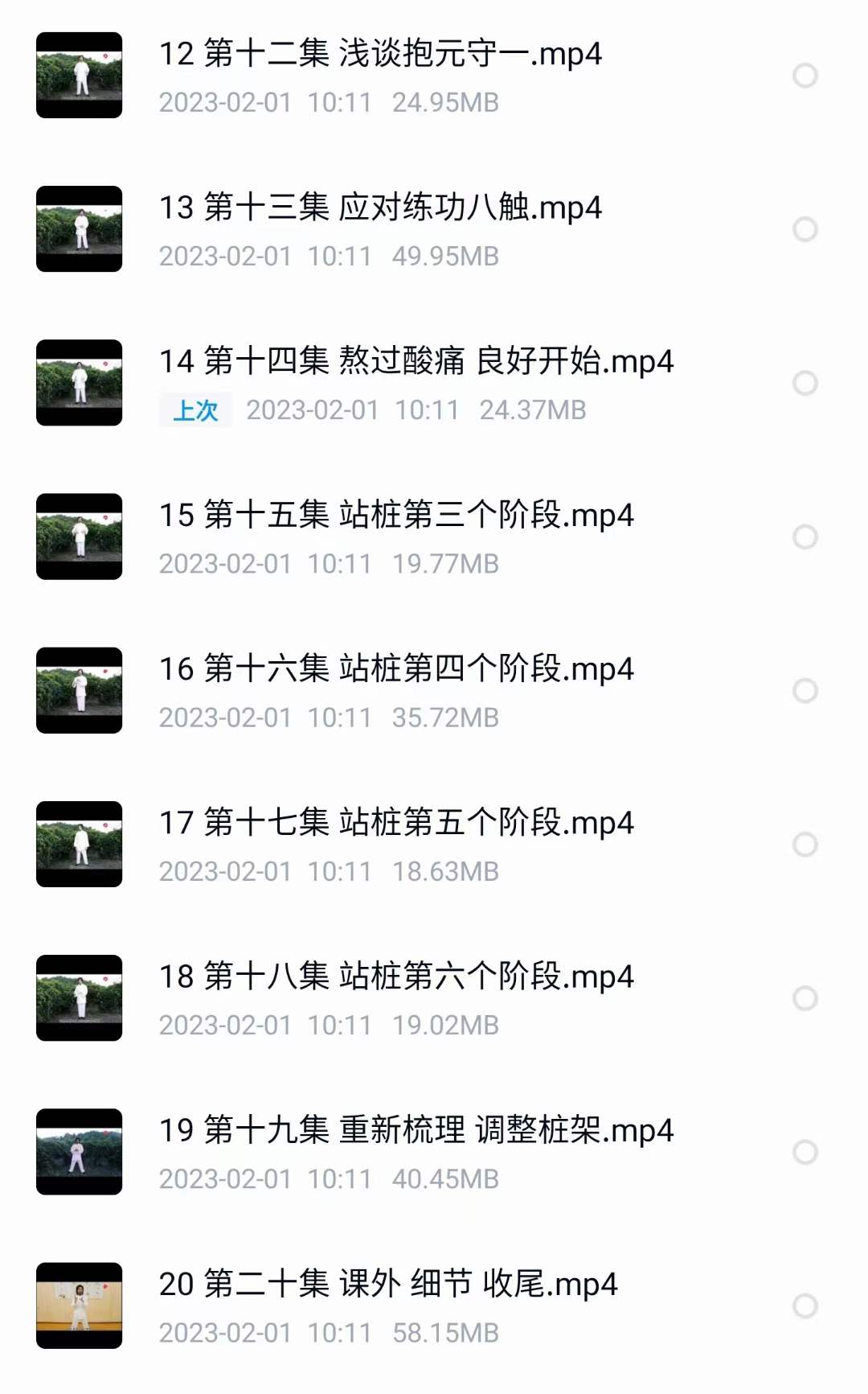 图片[3]-龙门天成《全真龙门派站桩养生功》20集-真传国学