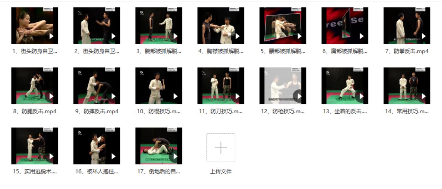 实战防身术课程视频17集 百度云下载！-真传国学