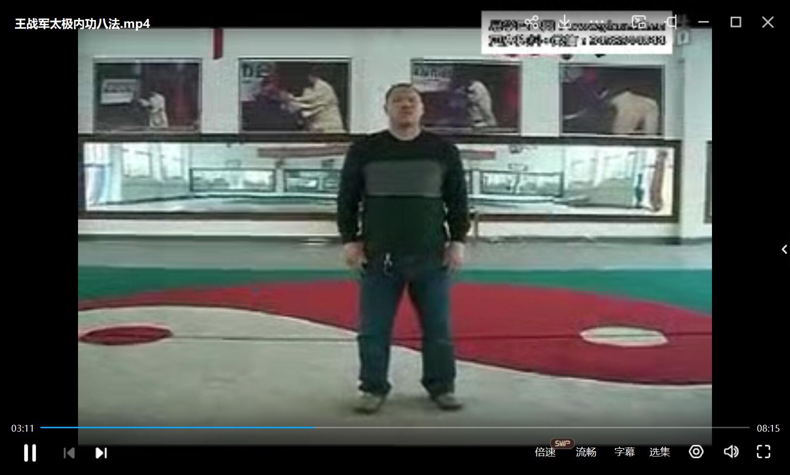 图片[2]-太极内功视频+电子书-真传国学