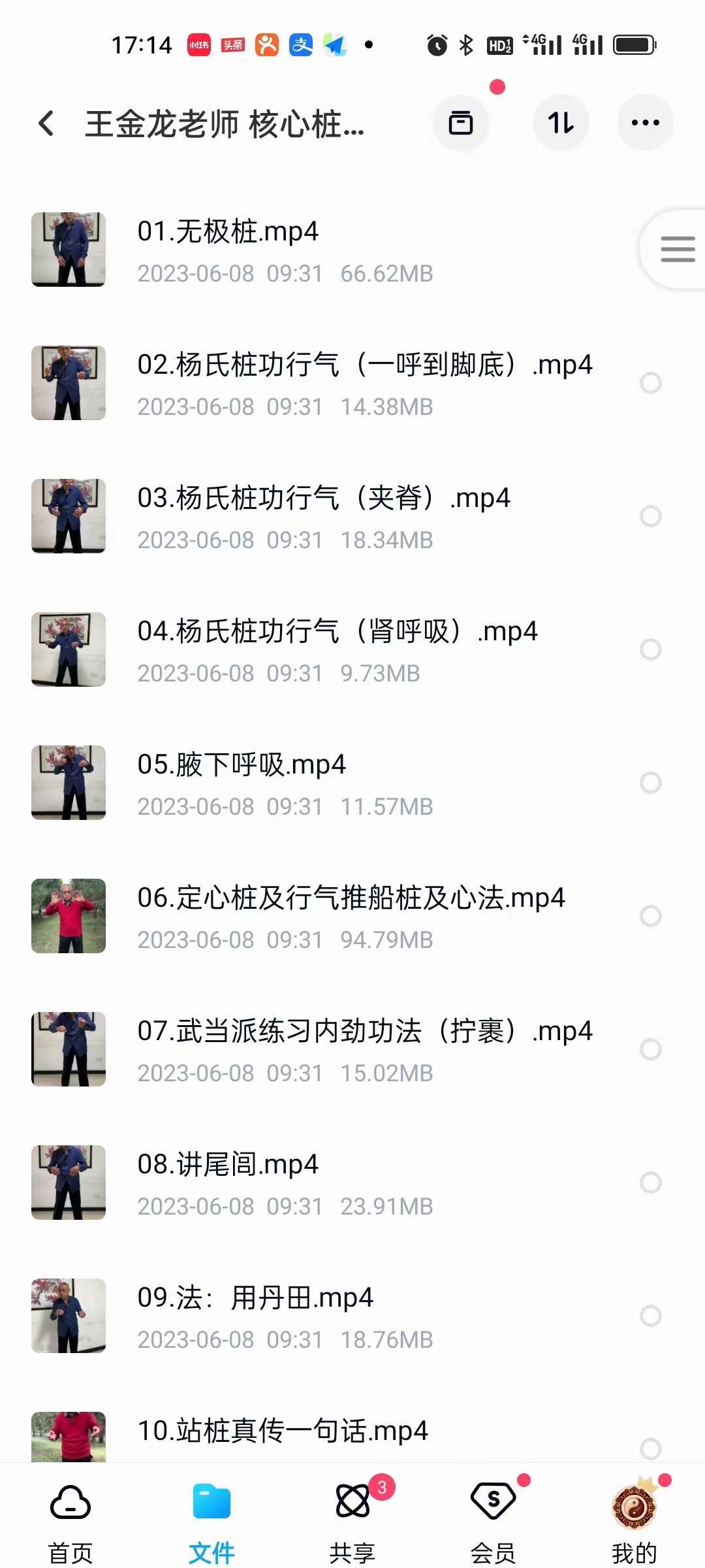 图片[2]-王金龙老师 核心桩功 教学视频-真传国学