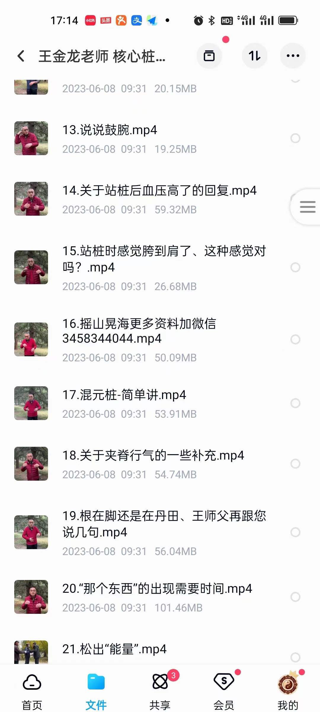 图片[3]-王金龙老师 核心桩功 教学视频-真传国学