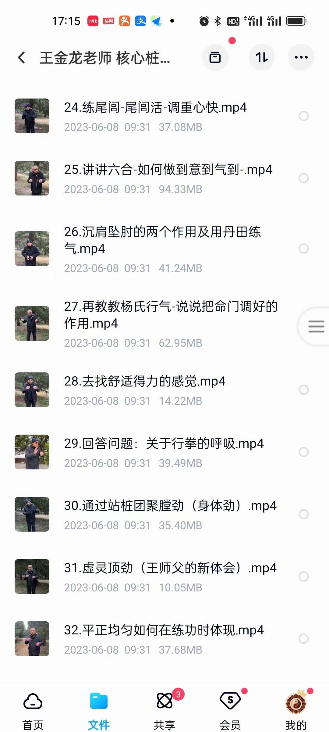 图片[4]-王金龙老师 核心桩功 教学视频-真传国学