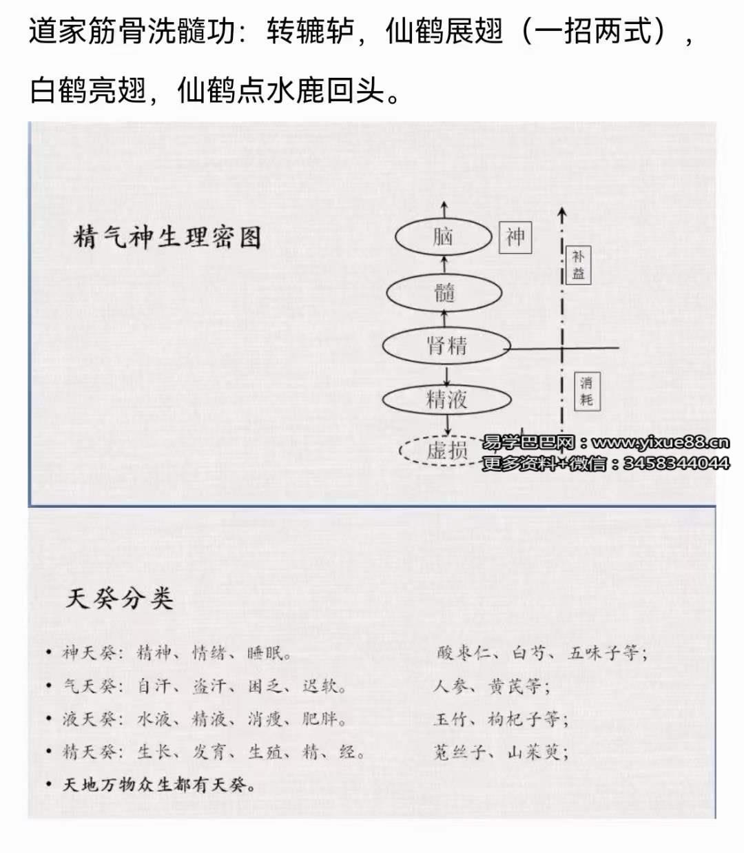 图片[4]-莲诺 道家隐修术男女强肾气养生功法（22节课程）-真传国学