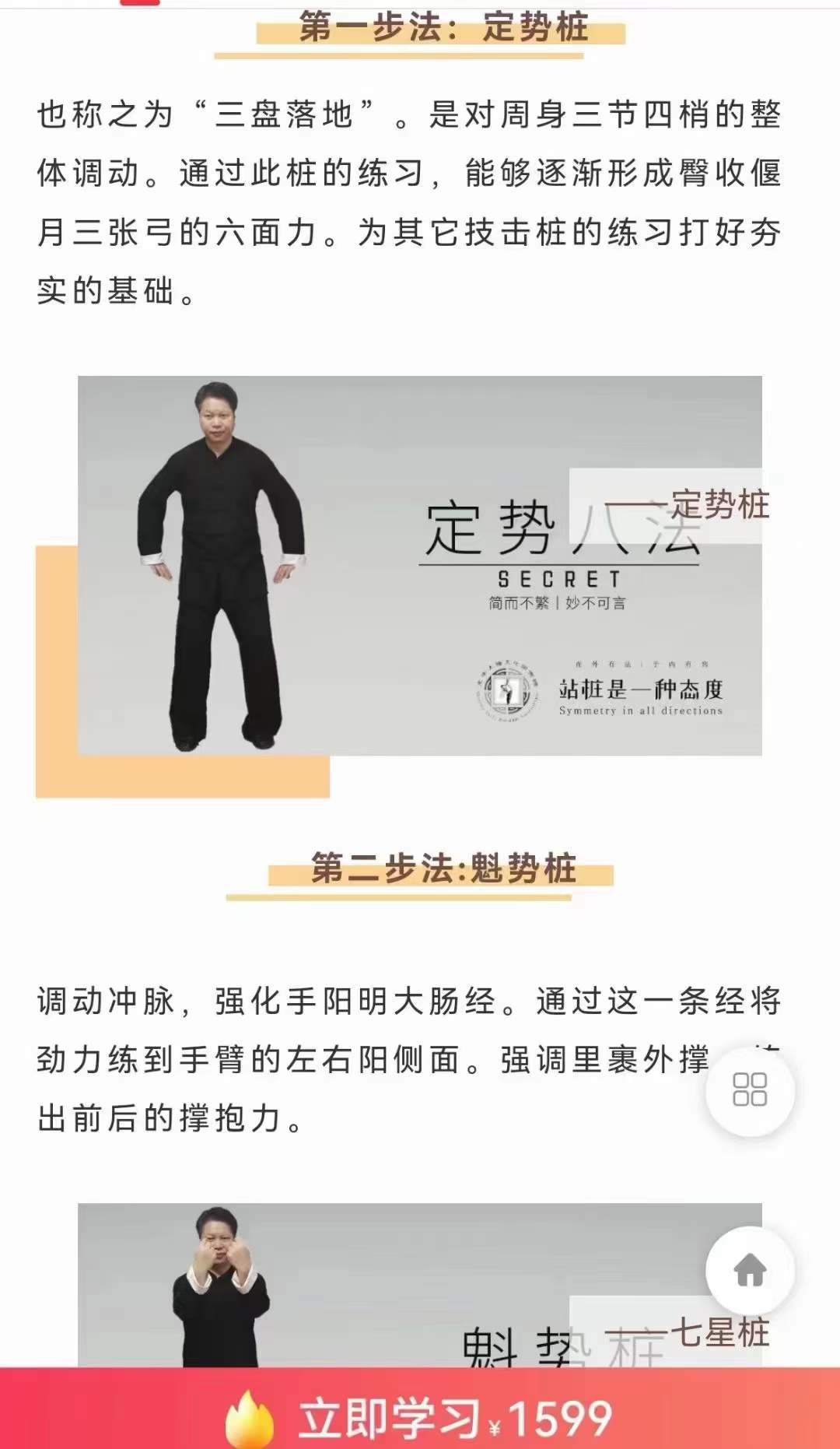 图片[5]-武当犹龙太极七星桩9集-真传国学