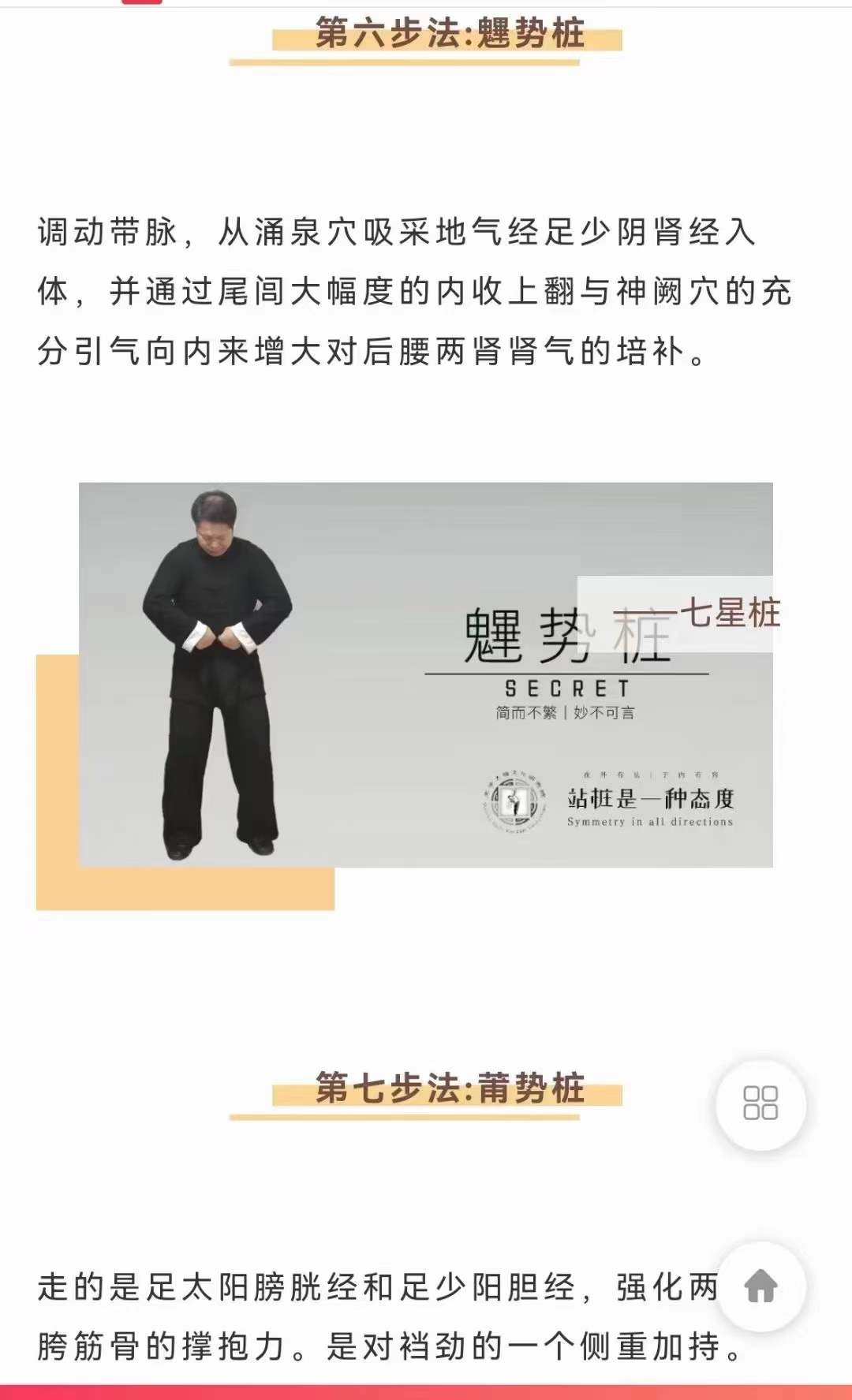 图片[8]-武当犹龙太极七星桩9集-真传国学