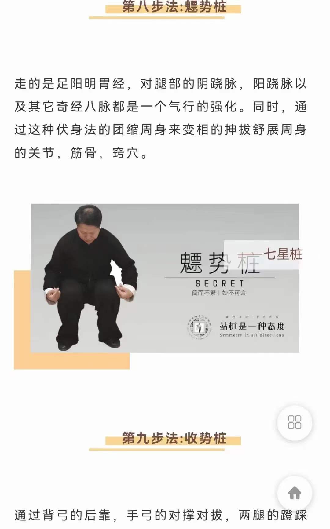 图片[9]-武当犹龙太极七星桩9集-真传国学