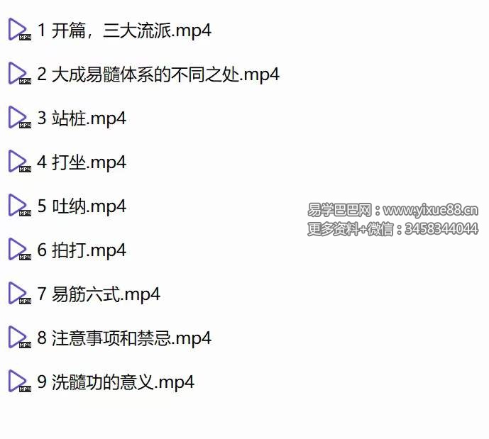图片[8]-王道 易筋洗髓功 全9讲视频课-真传国学