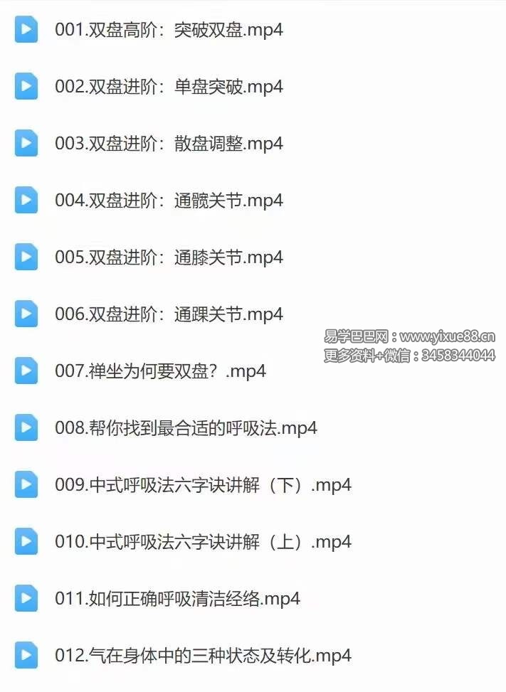图片[5]-迷罗 14天养元筑基进阶训练营 全24讲视频课-真传国学
