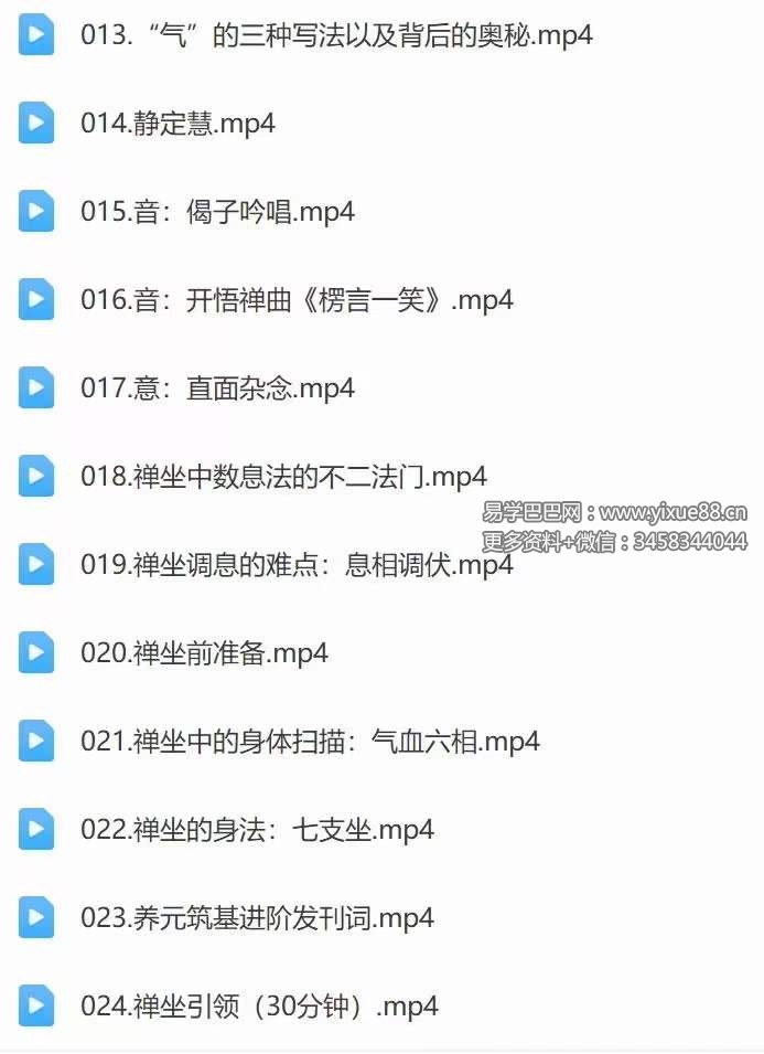 图片[6]-迷罗 14天养元筑基进阶训练营 全24讲视频课-真传国学