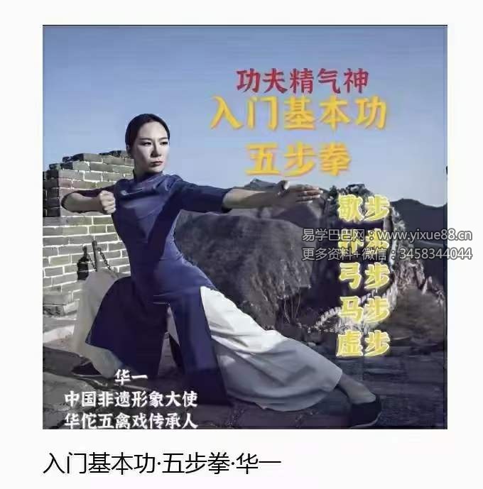 图片[3]-华一老师三合一全套 五禽戏 五步拳-真传国学