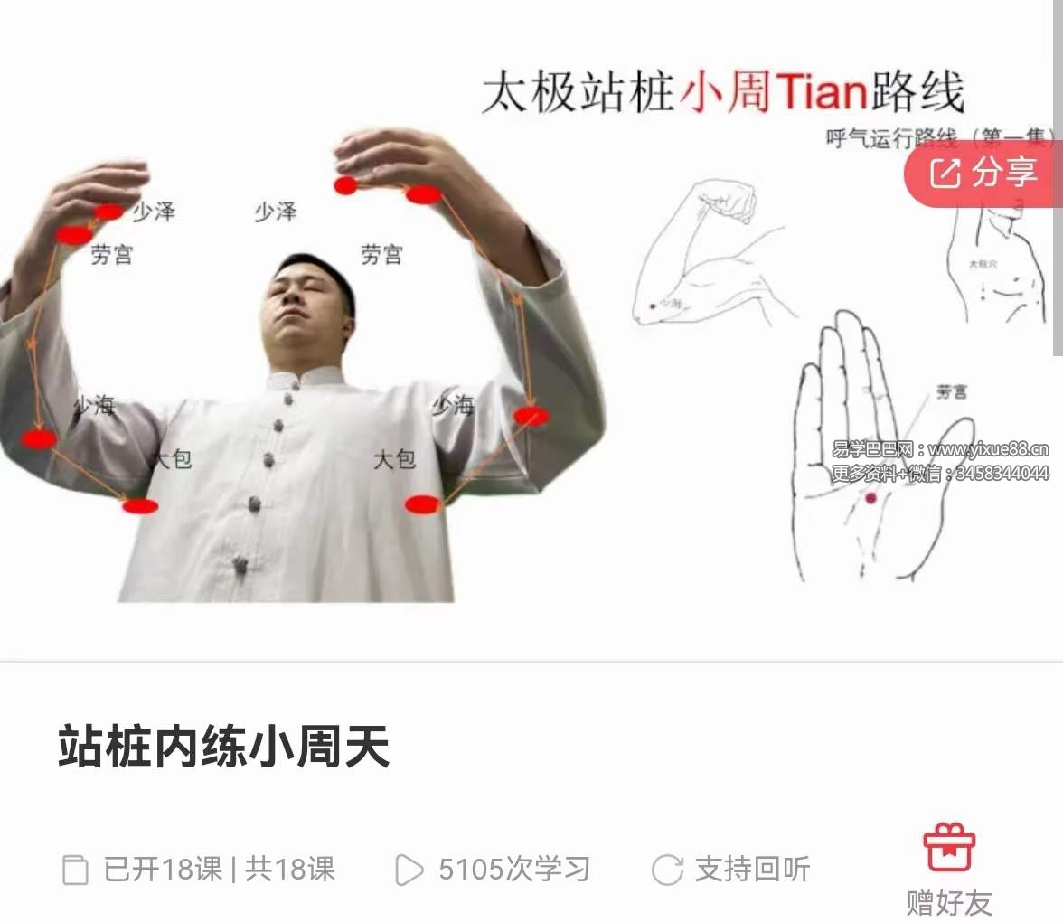 图片[2]-朱亚伦 太极拳站桩 站桩内练小周天18集-真传国学