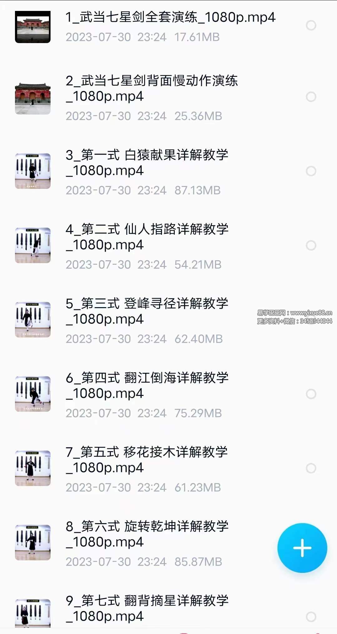 图片[3]-武当云鹤 武当七星剑全套详解教学30集-真传国学