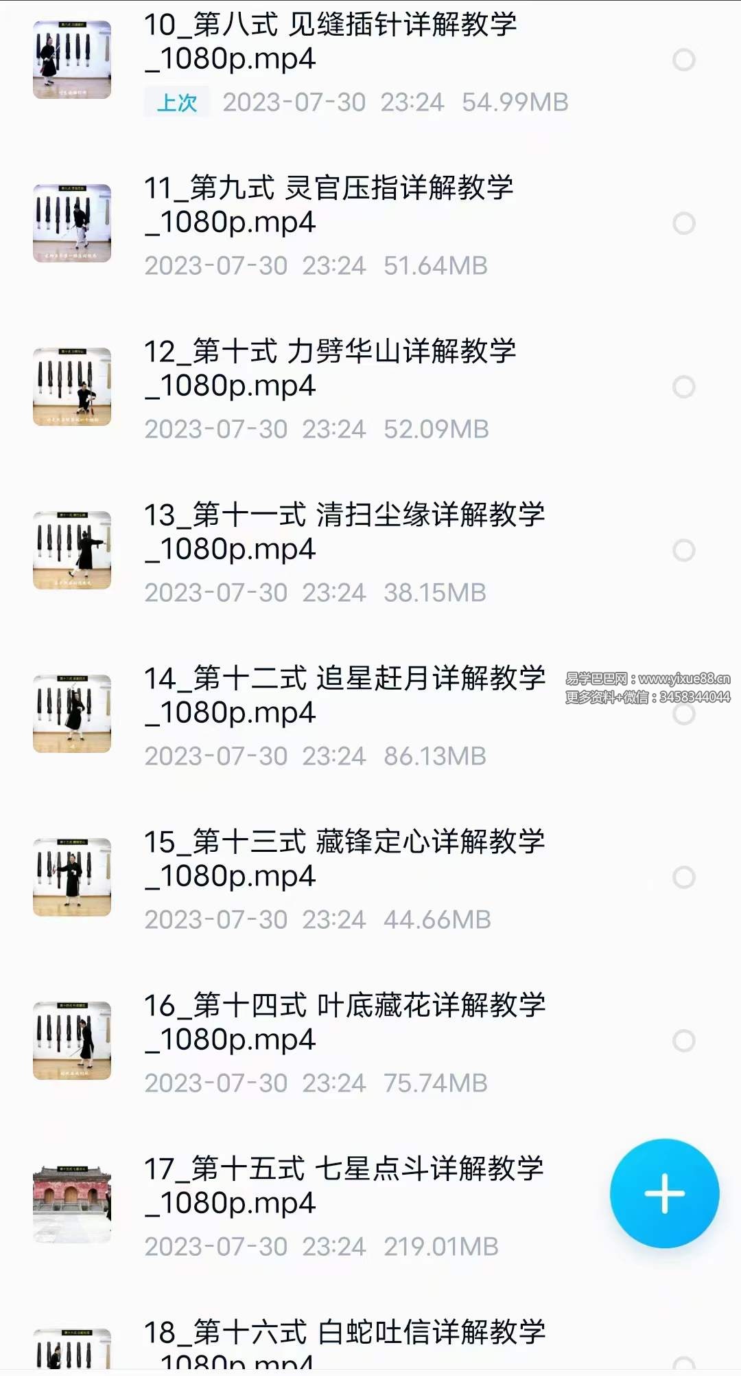 图片[4]-武当云鹤 武当七星剑全套详解教学30集-真传国学