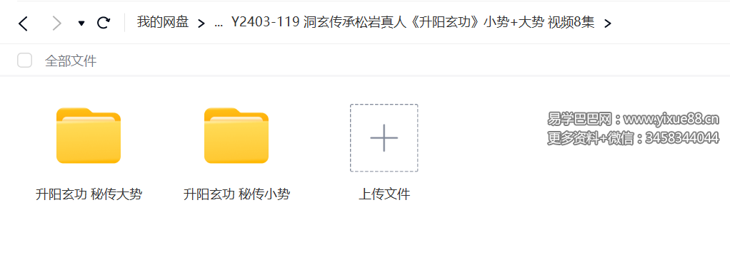 洞玄传承松岩真人《升阳玄功》小势+大势 视频8集-真传国学