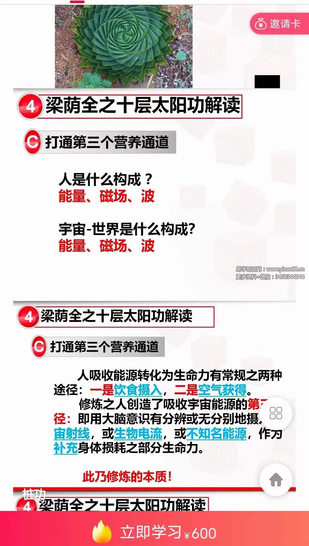 图片[5]-黄庭内景十层太阳桩 私教课1集-真传国学