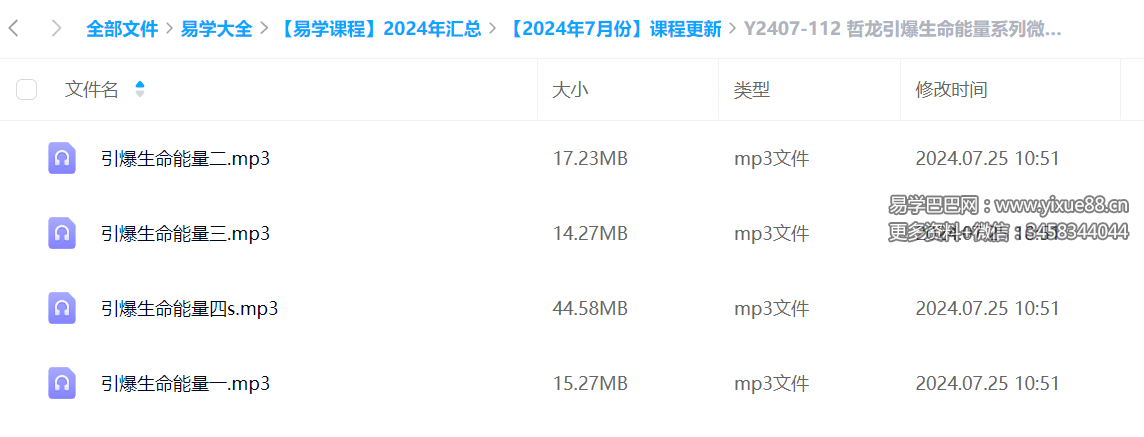 哲龙引爆生命能量系列微课4节音频-真传国学