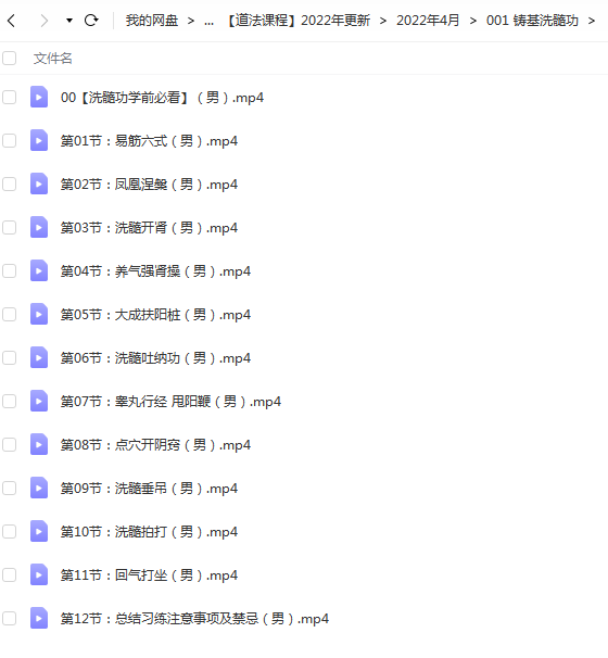 铸基养生洗髓功直播教材十二节13个教学视频全套完整 强肾超牛 百度云-真传国学
