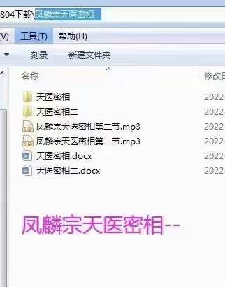 凤麟宗 天医密相 百度网盘下载-真传国学