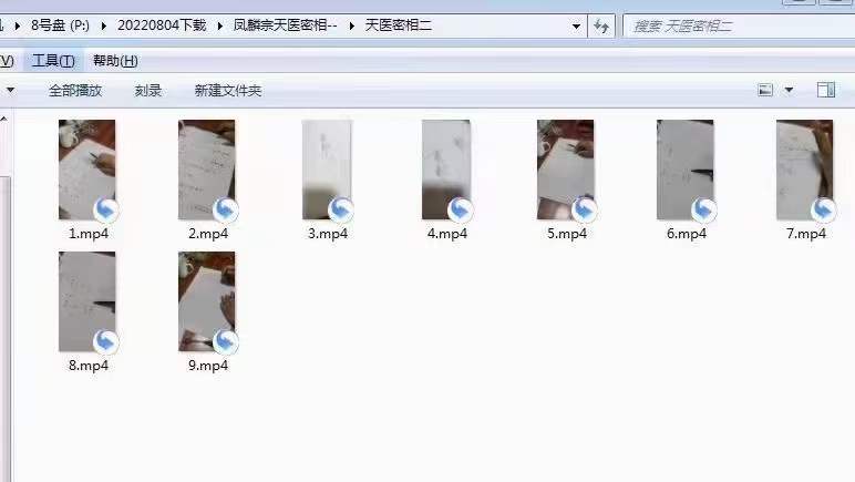 图片[3]-凤麟宗 天医密相 百度网盘下载-真传国学