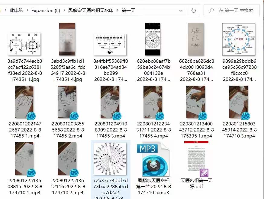 图片[8]-凤麟宗 天医密相 百度网盘下载-真传国学
