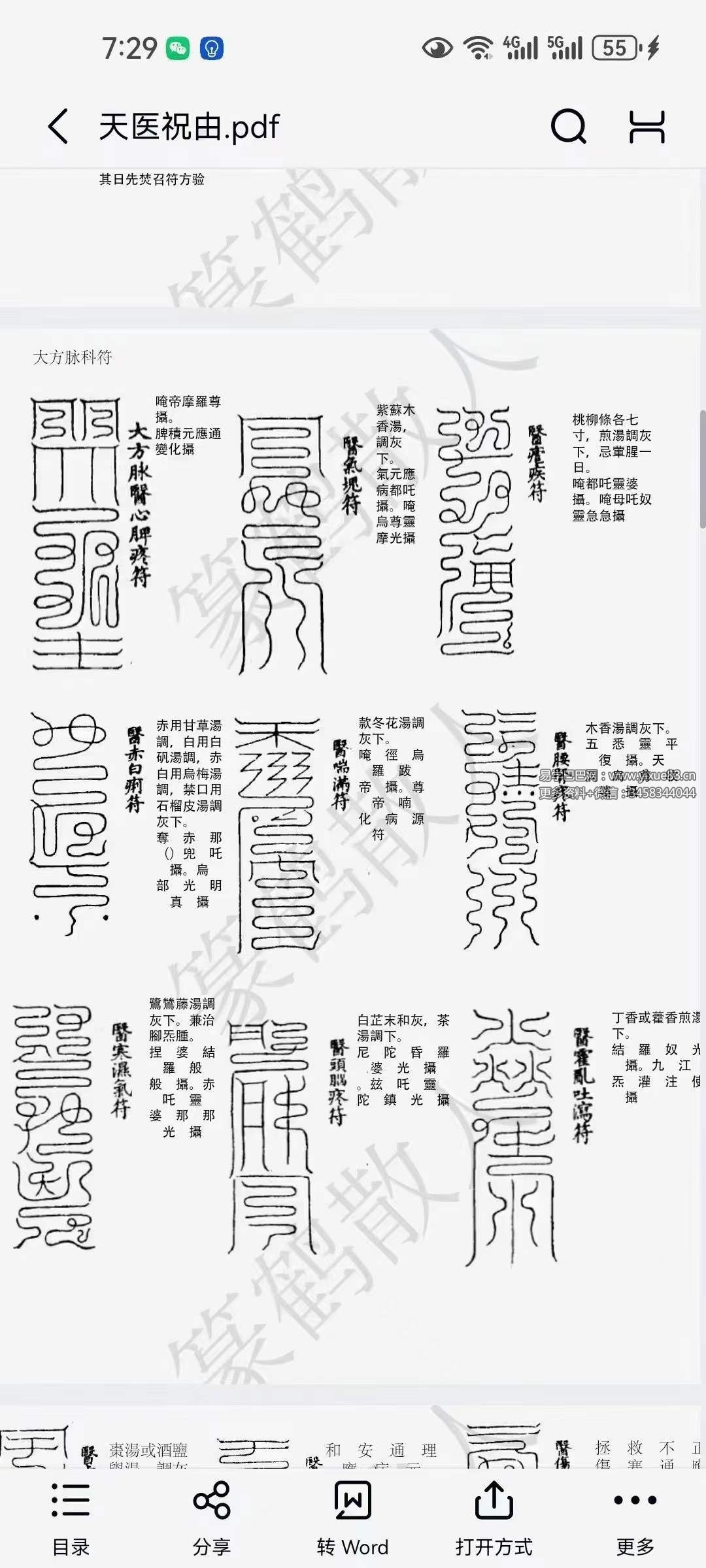 图片[3]-篆鹤散人天医祝由文档-真传国学