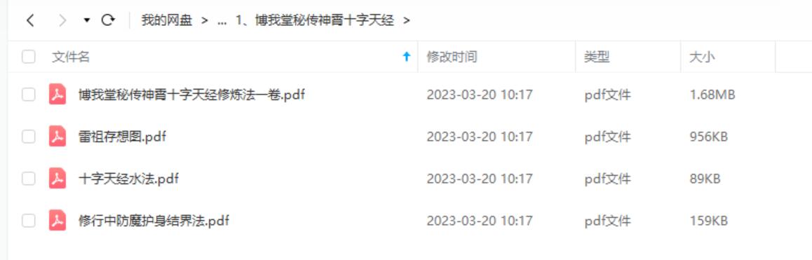 图片[2]-神霄雷法十字天经秘传道法 含水法 洞玄玉枢雷霆大法-真传国学