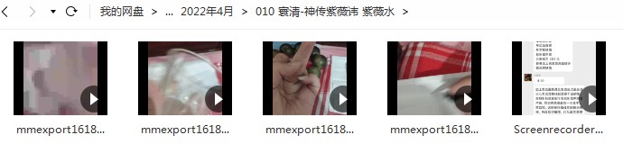 寰清神传紫薇讳 紫薇水传授 小视频5个+资料 百度云下载-真传国学