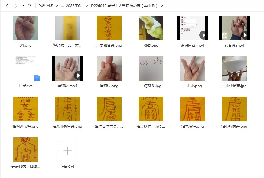 马兴宇天罡符法治病（华山派）百度云下载！-真传国学