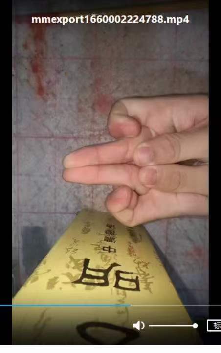 图片[8]-天师府家传元帅符（紫宸） 百度网盘下载-真传国学