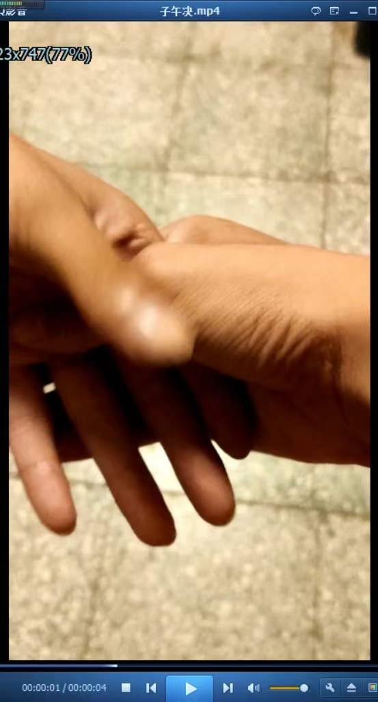 图片[3]-张长空 紫薇内练紫薇法脉传承二期-真传国学