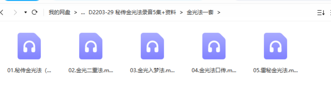 秘传金光法录音5集+资料 夸克网盘下载-真传国学