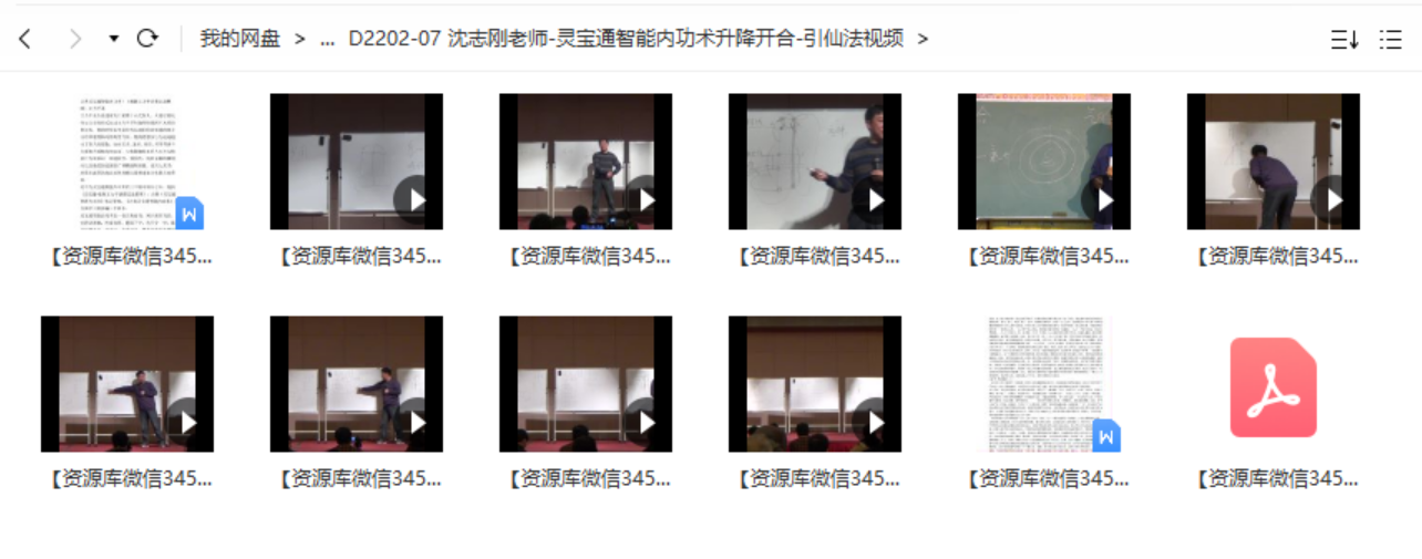 沈志刚老师-灵宝通智能内功术升降开合-引仙法视频-真传国学