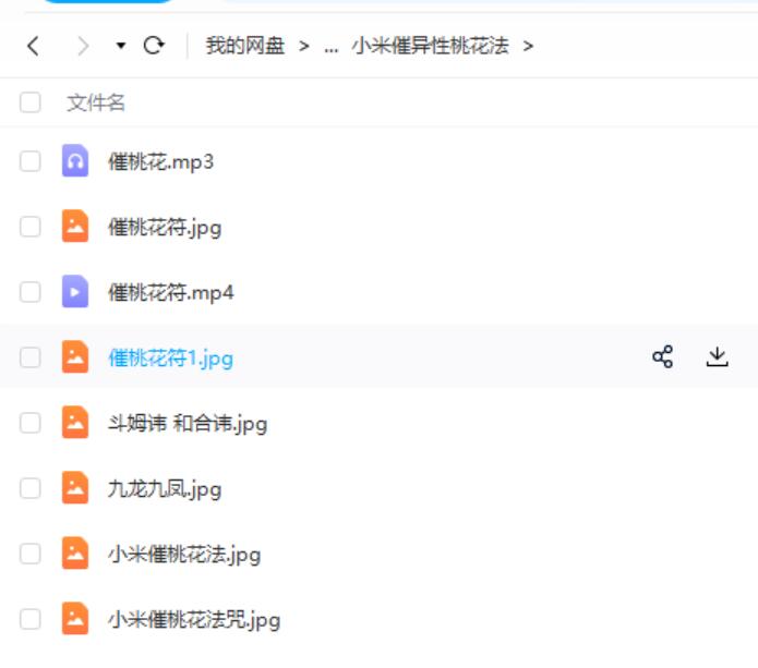 图片[5]-仲文天医坛 敏真道长鲁东【茅山秘术小米道法】二期讲课短视频+录音+文档+图片 夸克网盘下载-真传国学