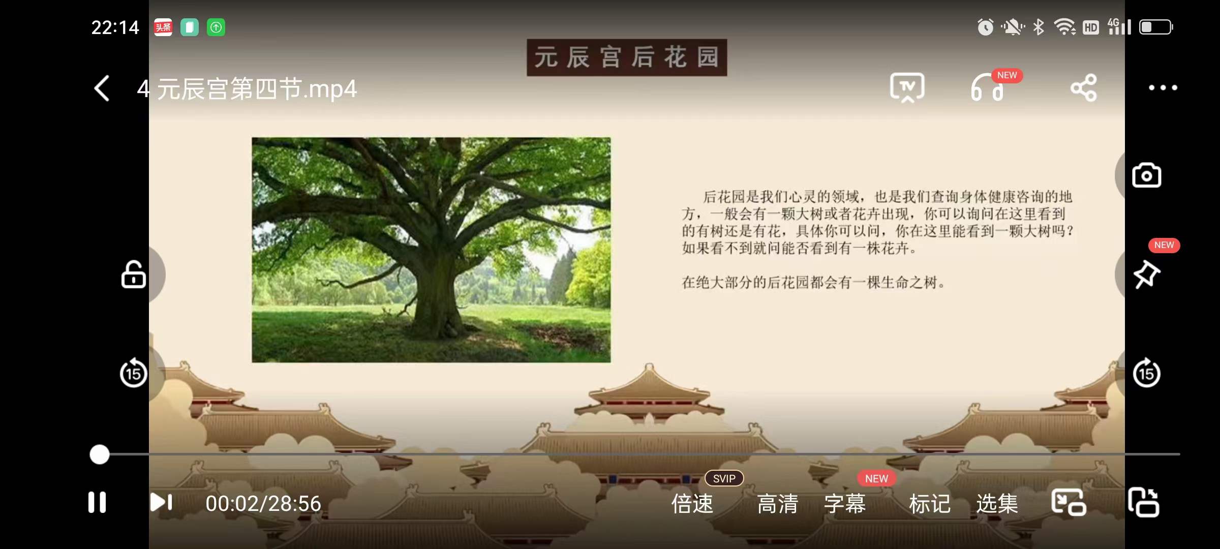 图片[6]-宣法道人 元辰宫前世回溯改运术10集-真传国学